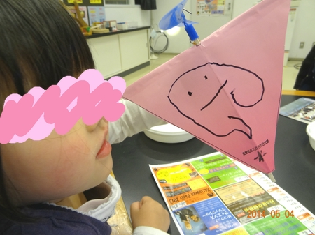 DSC05913.jpg