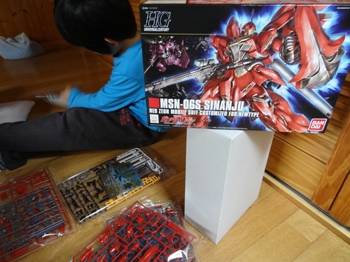DSC08092.jpg