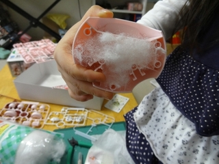 DSC08206.jpg