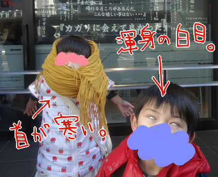 DSC09322.jpg