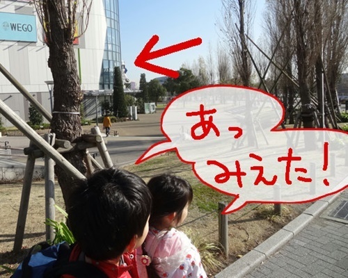 DSC09426.jpg