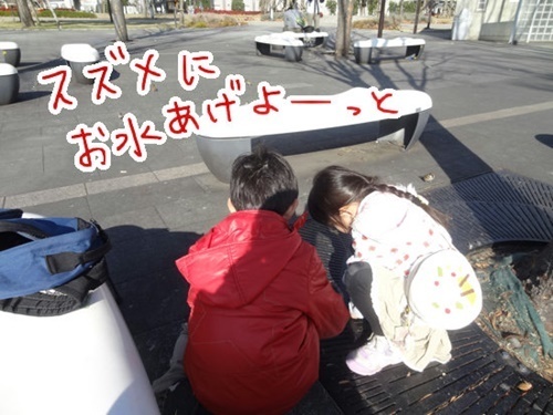 DSC09445-2.jpg